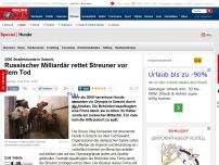 Bild zum Artikel: 2000 Straßenhunde in Sotschi - Russischer Milliardär rettet Streuner vor dem Tod