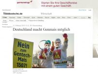 Bild zum Artikel: EU-Entscheidung: Deutschland macht Genmais möglich