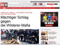 Bild zum Artikel: Operation „Cobra II“ - Mächtiger Schlag gegen die Wilderer-Mafia