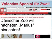 Bild zum Artikel: Zoo-Skandal - Dänen wollen nächsten „Marius“ hinrichten!