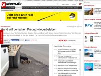 Bild zum Artikel: Rührendes Video: Hund will tierischen Freund wiederbeleben