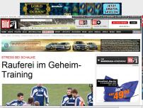 Bild zum Artikel: Stress bei Schalke - Rauferei im Geheim-Training