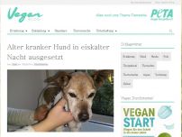 Bild zum Artikel: Alter kranker Hund in eiskalter Nacht ausgesetzt