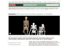 Bild zum Artikel: Evolution: 90 Prozent der US-Amerikaner glauben an Schöpfer