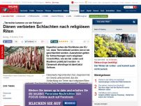 Bild zum Artikel: „Tierrechte kommen vor der Religion“ - Dänen verbieten Schlachten nach religiösen Riten