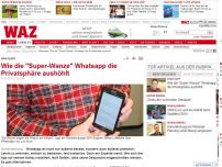 Bild zum Artikel: Wie die 'Super-Wanze' Whatsapp die Privatsphäre aushöhlt