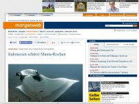 Bild zum Artikel: Indonesien schützt Manta-Rochen