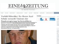 Bild zum Artikel: Vorbild Klitschko: Ex-Boxer Axel Schulz versucht Umsturz der Bundesregierung herbeizuführen