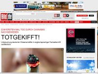 Bild zum Artikel: Totgekifft! - Erstmals Tod durch Cannabis nachgewiesen