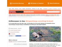 Bild zum Artikel: Kräftemessen im See: Würgeschlange verschlingt Krokodil