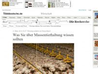 Bild zum Artikel: Fleischproduktion in Deutschland: Was Sie über Massentierhaltung wissen sollten