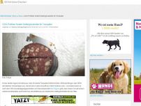 Bild zum Artikel: CDU-Politiker fordert Gefängnisstrafen für Tierquäler