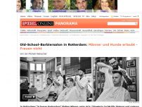 Bild zum Artikel: Old-School-Barbiersalon in Rotterdam: Männer und Hunde erlaubt - Frauen nicht