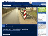 Bild zum Artikel: Realer Irrsinn: Pflanzeninsel in Radeberg