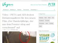 Bild zum Artikel: Video : PETA und ADI decken Elefantenquälerei für den neuen Film „Der Hundertjährige, der aus dem Fenster stieg und verschwand“ auf