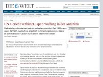 Bild zum Artikel: Urteil: UN-Gericht verbietet Japan Walfang in der Antarktis
