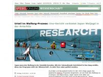 Bild zum Artikel: Urteil im Walfang-Prozess: Uno-Gericht verbietet Walfang in der Antarktis
