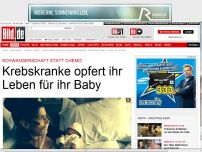 Bild zum Artikel: Chemo abgelehnt - Krebskranke opfert ihr Leben für ihr Baby