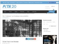 Bild zum Artikel: Petition: Schließt den „Todeszoo“ von Surabaya (Indonesien)