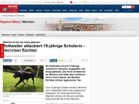 Bild zum Artikel: Mädchen an der Isar blutig gebissen - Rottweiler attackiert 15-jährige Schülerin - Herrchen flüchtet