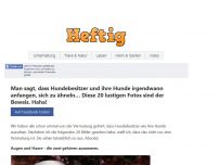 Bild zum Artikel: Man sagt, dass Hundebesitzer und ihre Hunde irgendwann anfangen, sich zu ähneln… Diese 20 lustigen Fotos sind der Beweis. Haha!