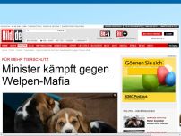 Bild zum Artikel: Mehr Tierschutz - Minister bekämpft Welpen-Mafia