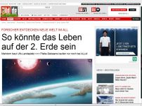 Bild zum Artikel: Neue Welt im All - So könnte das Leben auf der 2. Erde sein