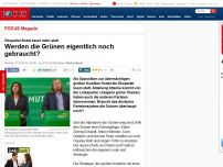 Bild zum Artikel: Ökopartei findet kaum mehr statt - Werden die Grünen eigentlich noch gebraucht?