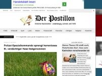 Bild zum Artikel: Polizei-Spezialkommando sprengt herrenloses Ei, verdächtiger Hase festgenommen