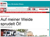 Bild zum Artikel: Schon sechs Kühe tot - Bauer Klaus: Auf meiner Weide sprudelt Öl!