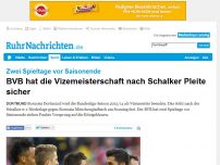 Bild zum Artikel: BVB hat die Vizemeisterschaft sicher