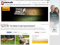 Bild zum Artikel: Vegan selbst versucht!: Tag 55-56: 'Ich blicke in das Kaninchenloch'