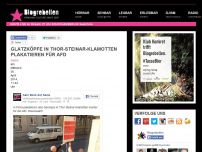 Bild zum Artikel: Glatzköpfe in Thor-Steinar-Klamotten plakatieren für AfD