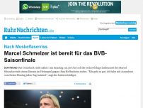 Bild zum Artikel: Schmelzer ist bereit für das BVB-Saisonfinale