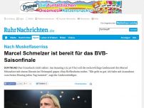 Bild zum Artikel: Marcel Schmelzer ist bereit für das BVB-Saisonfinale