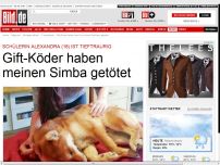 Bild zum Artikel: Gift-Köder haben meinen Simba getötet