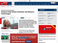 Bild zum Artikel: Zweitwohnung nicht gemeldet - Grünen-Chef Hofreiter hinterzieht Steuern