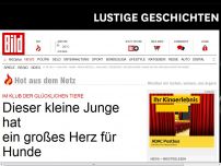 Bild zum Artikel: Dieser kleine Junge hat ein großes Herz für Hunde