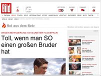 Bild zum Artikel: 64 Kilometer Huckepack - Toll, wenn man SO einen große Bruder hat