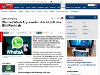 Bild zum Artikel: Digitale Enteignung - Wer bei WhatsApp senden drückt, tritt das Bild-Recht ab