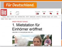 Bild zum Artikel: Irrer Freizeit-Spaß - Erste Einhorn- Vermietung am Cossi