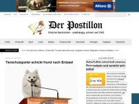 Bild zum Artikel: Tierschutzpartei schickt Hund nach Brüssel