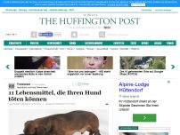 Bild zum Artikel: 11 Lebensmittel, die Ihren Hund töten können