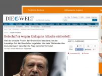 Bild zum Artikel: Angriff auf Özdemir: Botschafter wegen Erdogans Attacke einbestellt