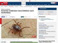 Bild zum Artikel: Schwer zu erkennen - Forscher entdecken neue Infektion nach Zeckenbiss