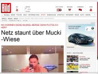 Bild zum Artikel: Tim Wiese - Netz staunt über Mucki-Wiese