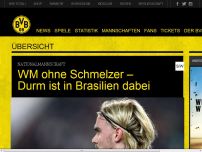 Bild zum Artikel: WM ohne Schmelzer – Durm ist in Brasilien dabei