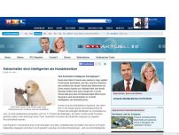 Bild zum Artikel: Mögen Sie Hund oder Katze? Ihr Haustier verrät Ihre Intelligenz