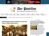 Bild zum Artikel: Archäologen finden 28 Millionen Jahre altes Fossil in Naturkundemuseum