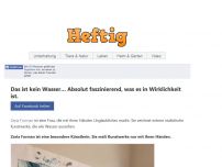 Bild zum Artikel: Das ist kein Wasser… Absolut faszinierend, was es in Wirklichkeit ist.